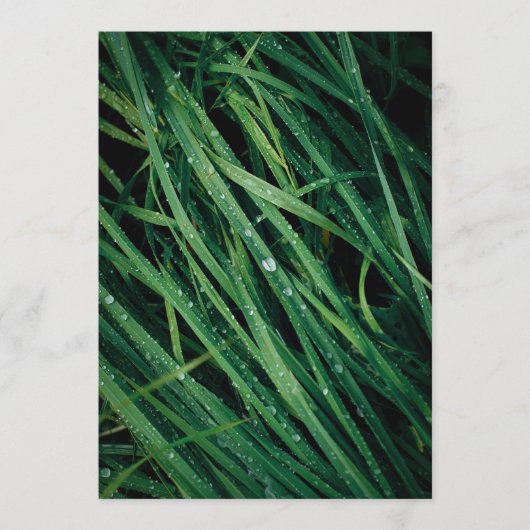 Rain drops on grass, Earth Day Card (正面)