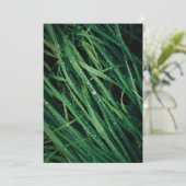 Rain drops on grass, Earth Day Card (スタンド正面)