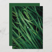 Rain drops on grass, Earth Day Card (正面/裏面)