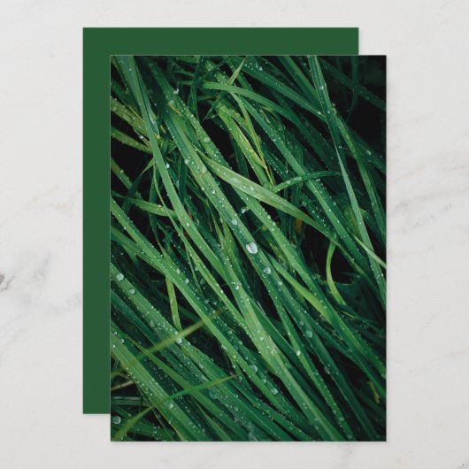 Rain drops on grass, Earth Day Card (正面/裏面)