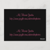 Rain on Geraniumsブックマークポストカード ポストカード (裏面)