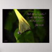 Rain on the Morning Glory – ポスター (正面)