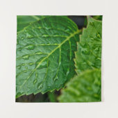 Rain raindrop waterdrop leaves wet タペストリー (正面)