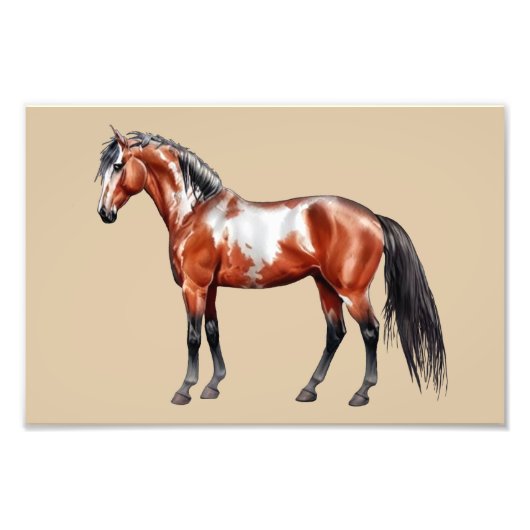 Rain Spirit - Pferd, stehend - Poster, フォトプリント (正面)