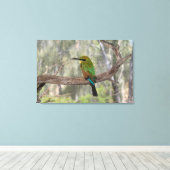 Rainbow beater-eater bird（オーストラリア） キャンバスプリント (インサイチュ (ウッドフロア))