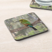 Rainbow beater-eater bird（オーストラリア） コースター (左側)