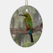 Rainbow beater-eater bird(オーストラリア) セラミックオーナメント (右)