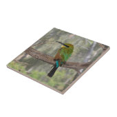 Rainbow beater-eater bird（オーストラリア） タイル (側面)