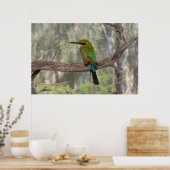 Rainbow beater-eater bird（オーストラリア） ポスター (キッチン)