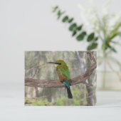 Rainbow beater-eater bird（オーストラリア） ポストカード (スタンド正面)