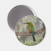 Rainbow beater-eater bird（オーストラリア） マグネット (正面/裏面)