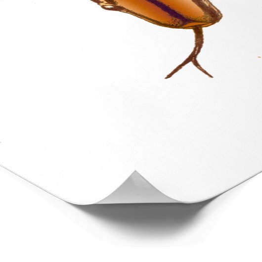 Rainbow Boa Snake Print ポスター (角)