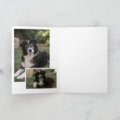 Rainbow Bridge Pet Memorial Photo Card カード (内部)