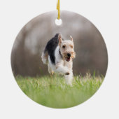 Rainbow Bridge Pet Photo Round セラミックオーナメント (裏面)