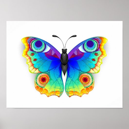 Rainbow Butterfly Peacock Eye ポスター (正面)