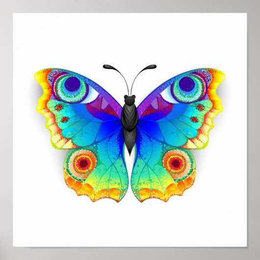 Rainbow Butterfly Peacock Eye ポスター (正面)