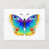 Rainbow Butterfly Peacock Eye 案内ポストカード (正面)
