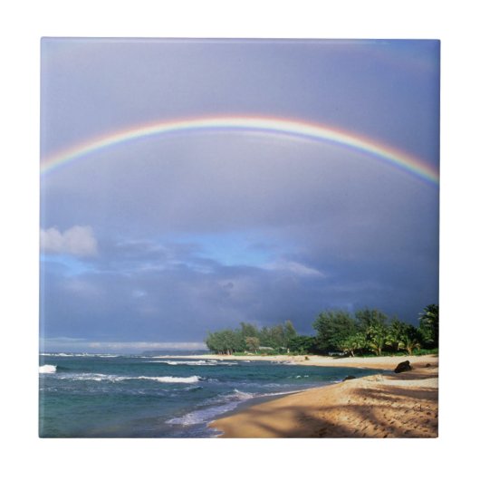 rainbow-hawaii.jpg タイル (正面)