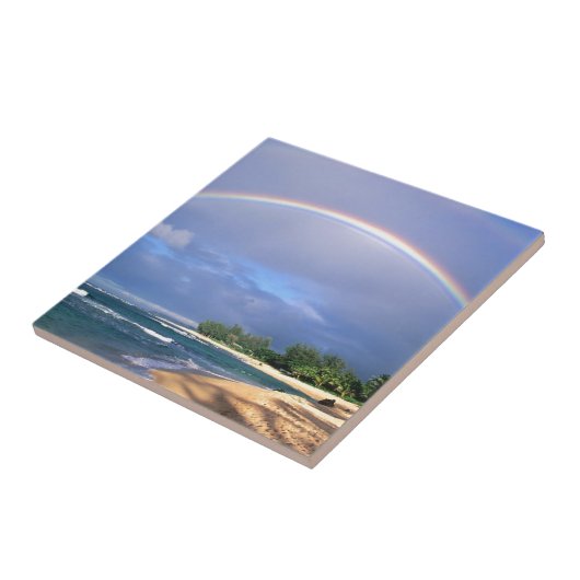 rainbow-hawaii.jpg タイル (側面)