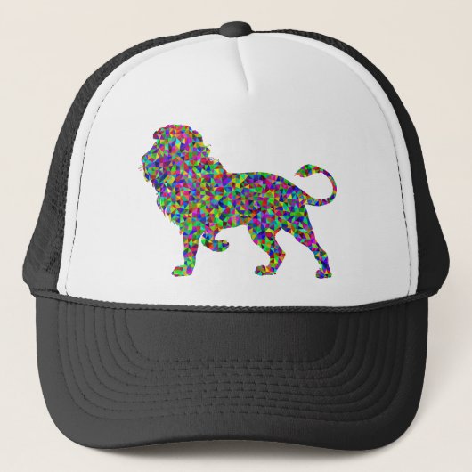 Rainbow Lion キャップ (正面)