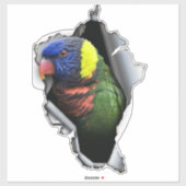 Rainbow Lorikeet Bird Decal– Exotic Parrot Sticker シール (シート)