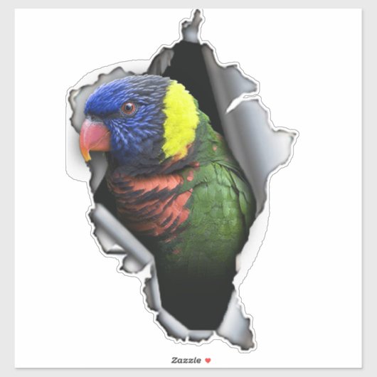Rainbow Lorikeet Bird Decal– Exotic Parrot Sticker シール (シート)