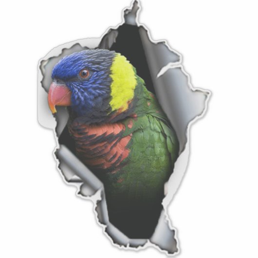 Rainbow Lorikeet Bird Decal– Exotic Parrot Sticker シール (正面)