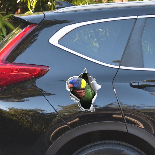 Rainbow Lorikeet Bird Decal– Exotic Parrot Sticker シール (車体側面)