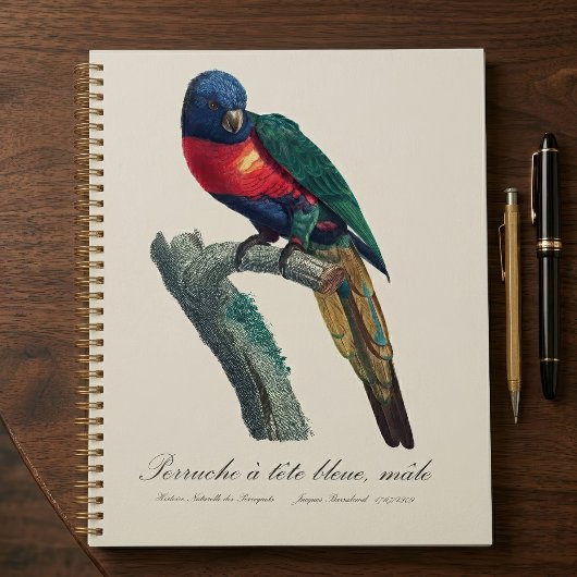 Rainbow Lorikeet Male, Trichoglossus Moluccanus プランナー手帳