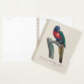 Rainbow Lorikeet Male, Trichoglossus Moluccanus プランナー手帳 (ディスプレー)