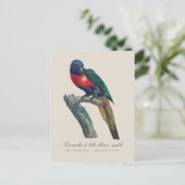 Rainbow Lorikeet Male, Trichoglossus Moluccanus ポストカード (スタンド正面)