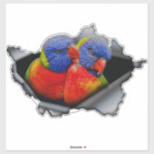 Rainbow Lorikeet Parrot Sticker – Vibrant Bird  シール (シート)