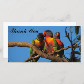 Rainbow Lorikeetsのフォトカードに感謝 サンキューカード (正面/裏面)