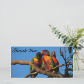 Rainbow Lorikeetsのフォトカードに感謝 サンキューカード (スタンド正面)