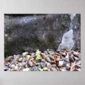 'Rainbow Man' Petroglyph, Maui, Hawaii ポスター (正面)