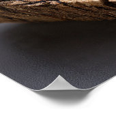 Rainbow Opalized Wood - Petrified Forest Gem ポスター (角)