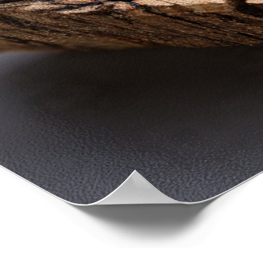 Rainbow Opalized Wood - Petrified Forest Gem ポスター (角)