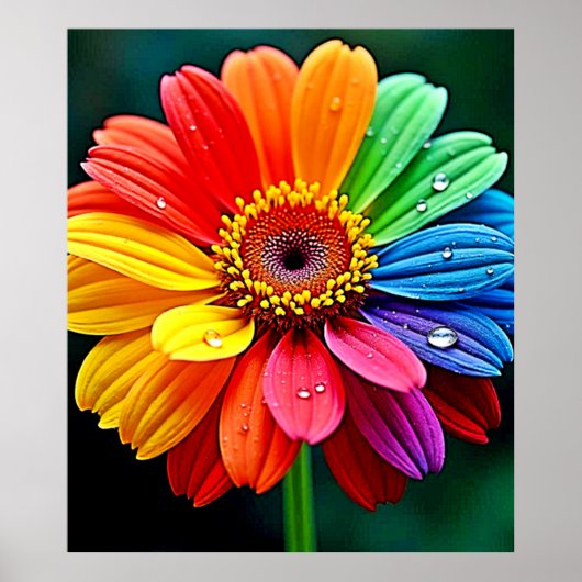 Rainbow Petal Flower Art ポスター (正面)