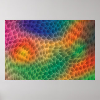 Rainbow Scales poster ポスター