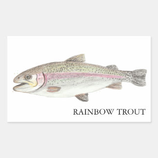 Rainbow Trout ニジマス 長方形シール