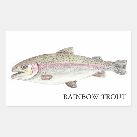 Rainbow Trout ニジマス 長方形シール (正面)
