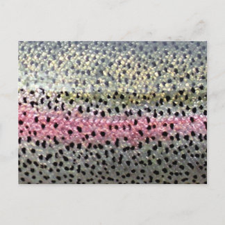 Rainbow Trout by PatternWear© ポストカード