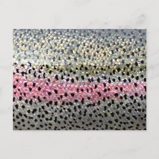 Rainbow Trout by PatternWear© ポストカード (正面)