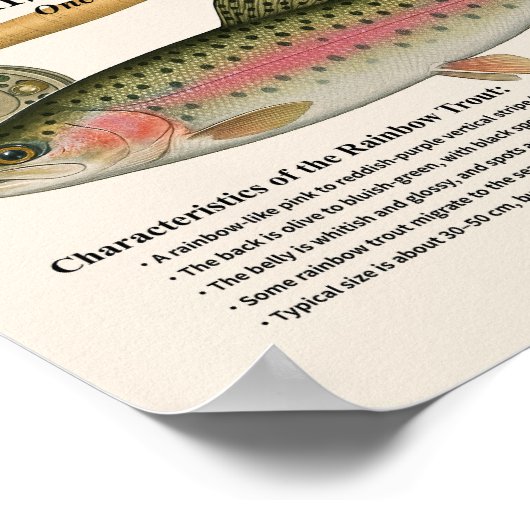 Rainbow Trout – English Art Print ポスター (角)