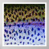 Rainbow Trout FFF Poster ポスター (正面)