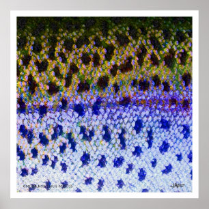 Rainbow Trout FFF Poster ポスター