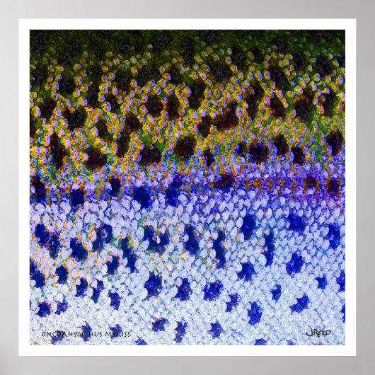 Rainbow Trout FFF Poster ポスター (正面)