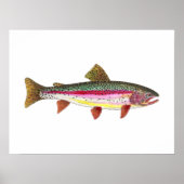 Rainbow Trout Fish ポスター (正面)