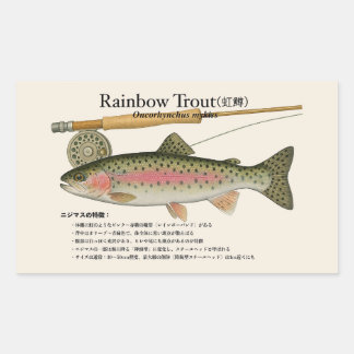 Rainbow Trout (Oncorhynchus mykiss) – Fish Illust 長方形シール