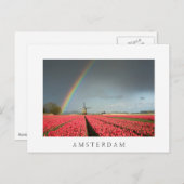 Rainbow, Tulips, Windmill Amsterdamポストカード ポストカード (正面/裏面)